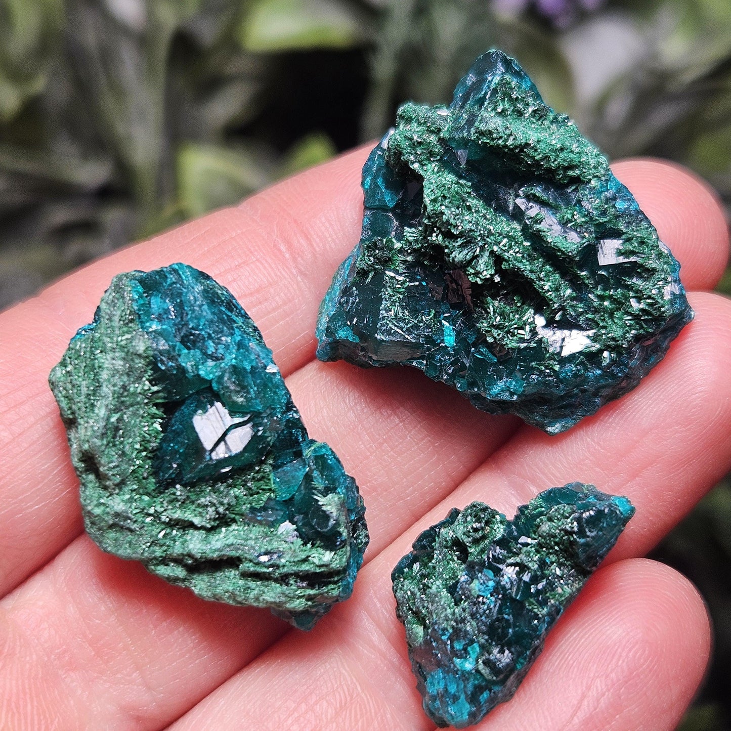 Raw Dioptase & Malachite Crystal Specimen: Rare Combo