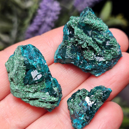 Raw Dioptase & Malachite Crystal Specimen: Rare Combo