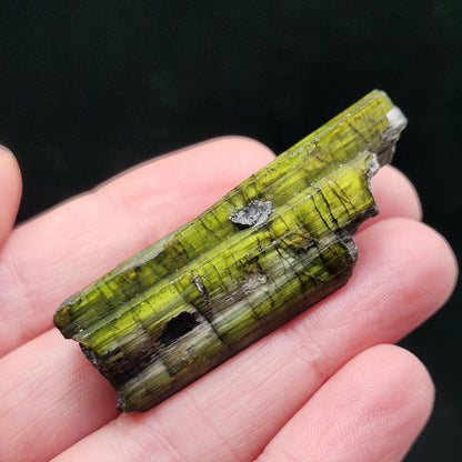Chrome Green Tourmaline Crystal 20g