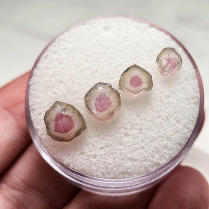 Pink Watermelon Tourmaline Crystal Slice