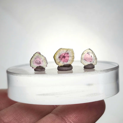 Pink Watermelon Tourmaline Crystal Slice