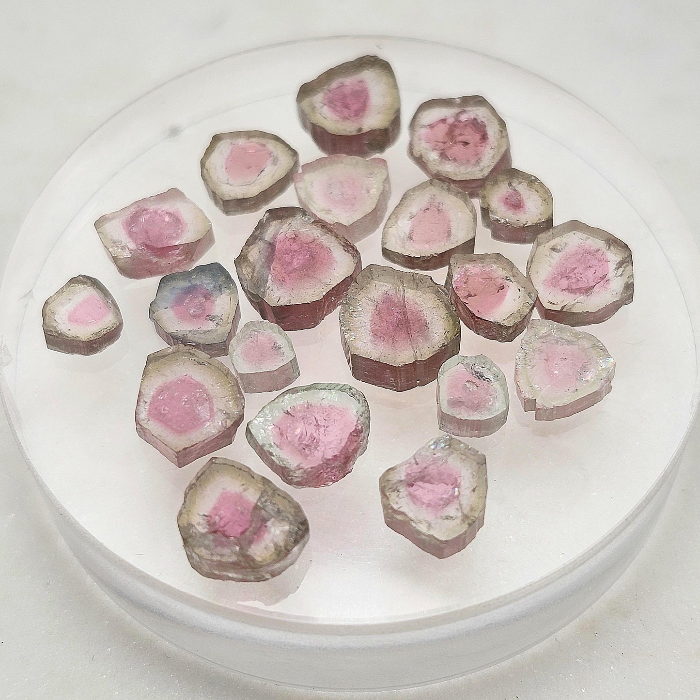 Pink Watermelon Tourmaline Crystal Slice
