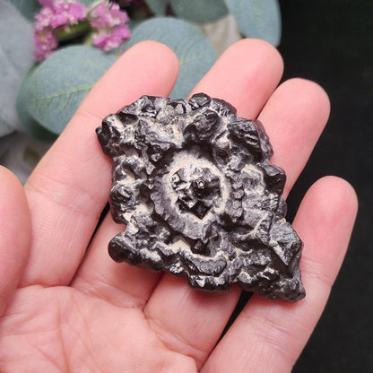 Angel Chime Prophecy Stone 43g