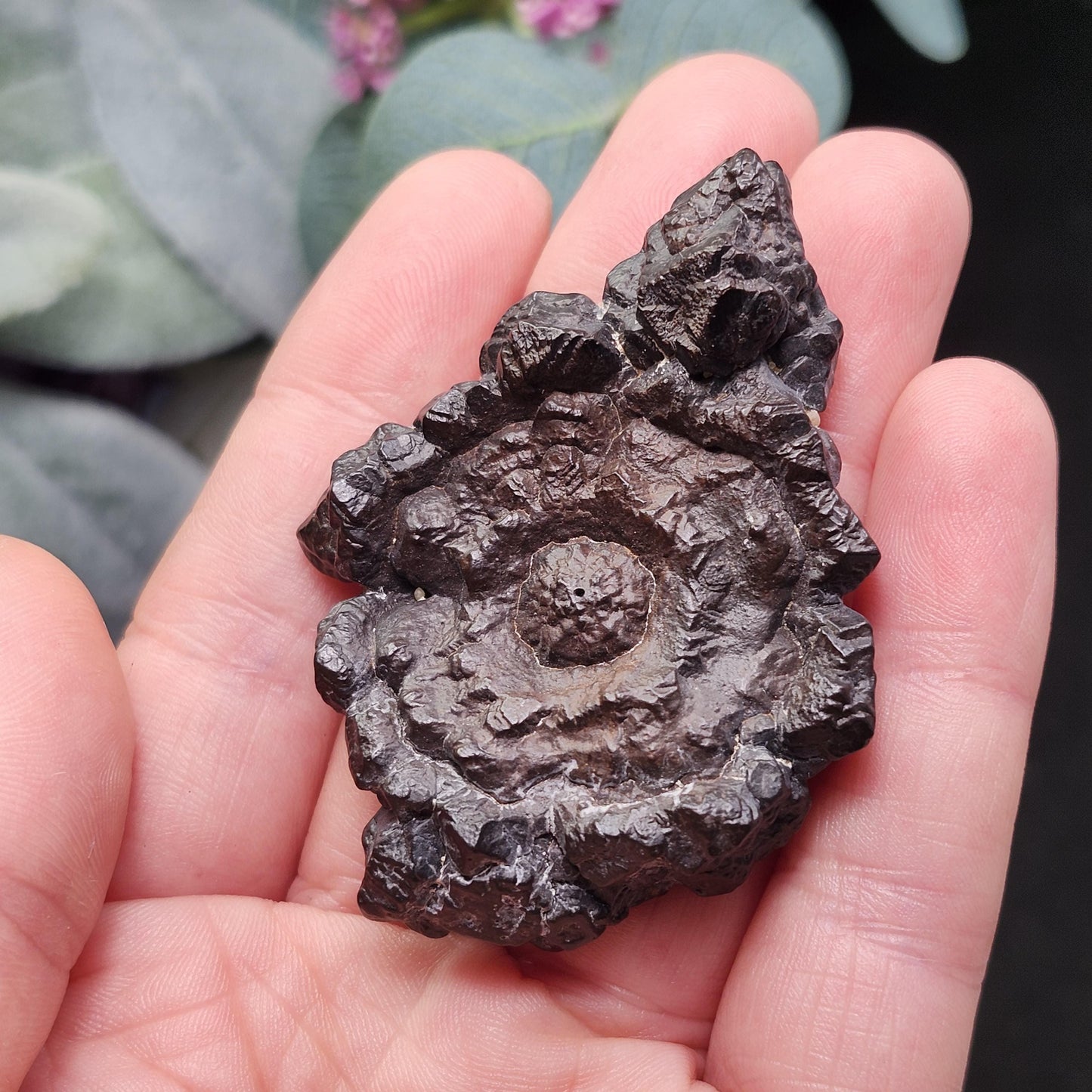 Angel Chime Prophecy Stone 43g