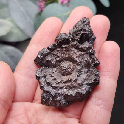 Angel Chime Prophecy Stone 43g