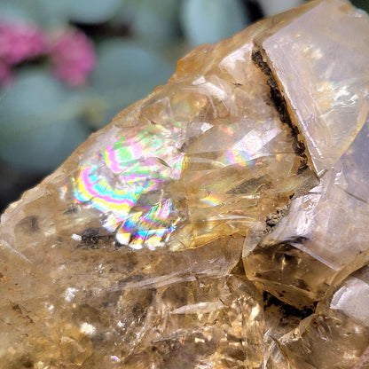 Skeletal Herkimer Diamond Quartz with Rainbow Inclusions 130.63g