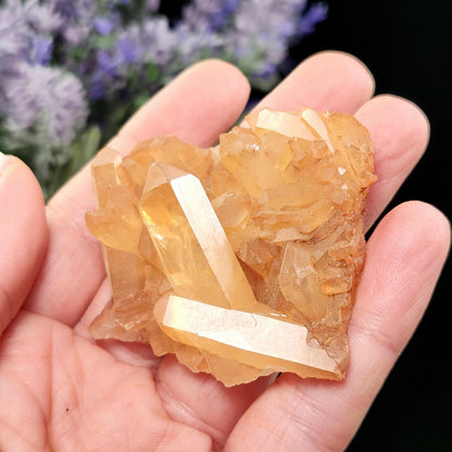 Tangerine Quartz Cluster, Brazilian Hematoid Quartz Stone 40