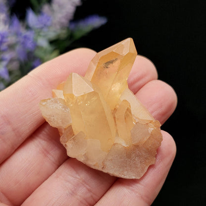 Tangerine Quartz Cluster, Natural Brazilian Hematoid Quartz Stone