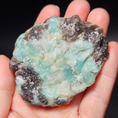 Hindu Kush Emerald, Black Tourmaline & Smoky Quartz Crystal Cluster, Raw Green Emerald from Afghanistan, 99 grams