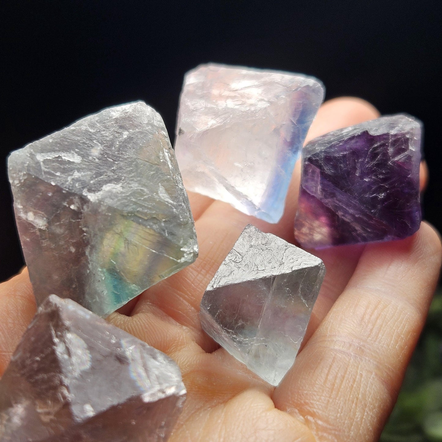 Rainbow Fluorite, Set of 5, OOAK Color Zoned Octahedron Shaped Crystals