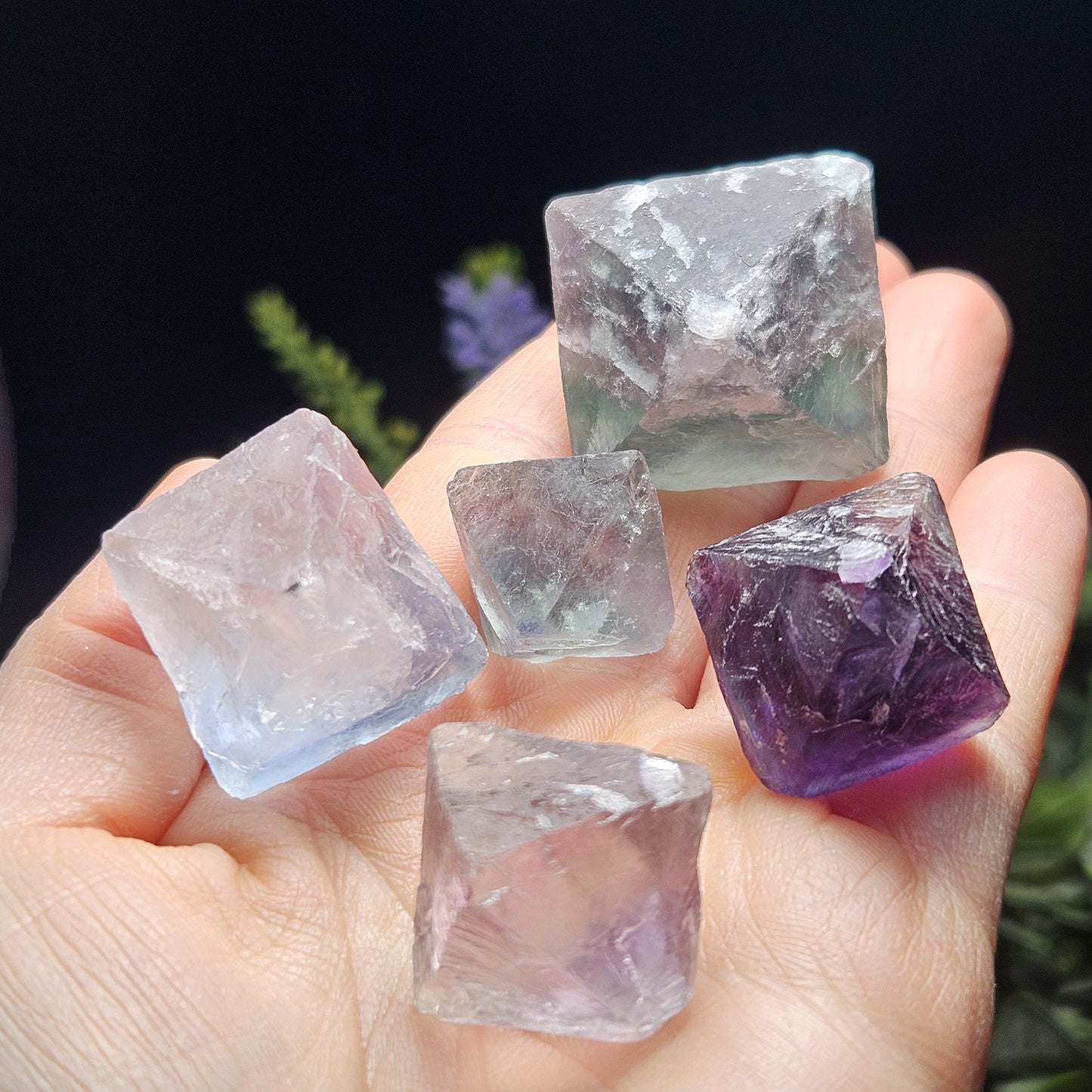 Rainbow Fluorite, Set of 5, OOAK Color Zoned Octahedron Shaped Crystals