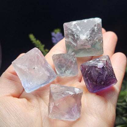 Rainbow Fluorite, Set of 5, OOAK Color Zoned Octahedron Shaped Crystals