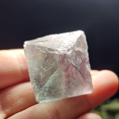 Rainbow Fluorite, Set of 5, OOAK Color Zoned Octahedron Shaped Crystals