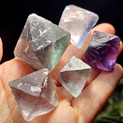 Rainbow Fluorite, Set of 5, OOAK Color Zoned Octahedron Shaped Crystals