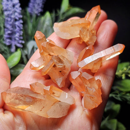 Tangerine Quartz Cluster, Natural Brazilian Hematoid Quartz Stone