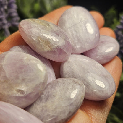 Purple Kunzite Tumbled Crystal, Kunzite Specimen