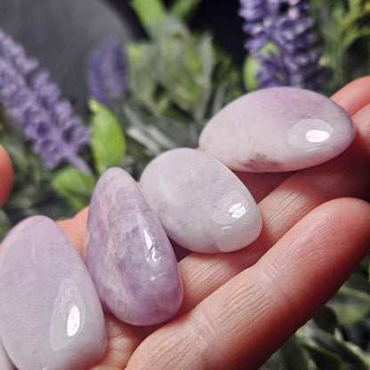 Kunzite Purple Crystal Wand, 1.75"+ Tumbled Kunzite Specimen