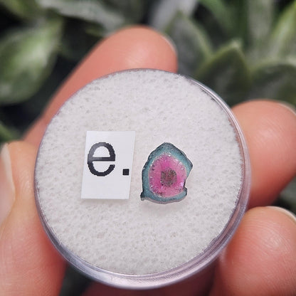 Watermelon Tourmaline Slice, CHOOSE YOUR SLICE!
