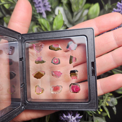 Watermelon Tourmaline Slice, CHOOSE YOUR SLICE!