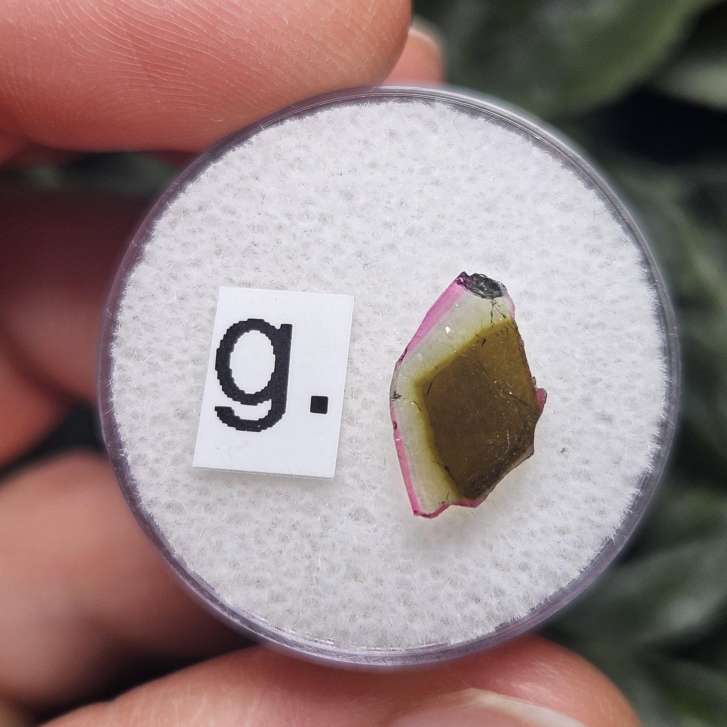 Watermelon Tourmaline Slice, CHOOSE YOUR SLICE!