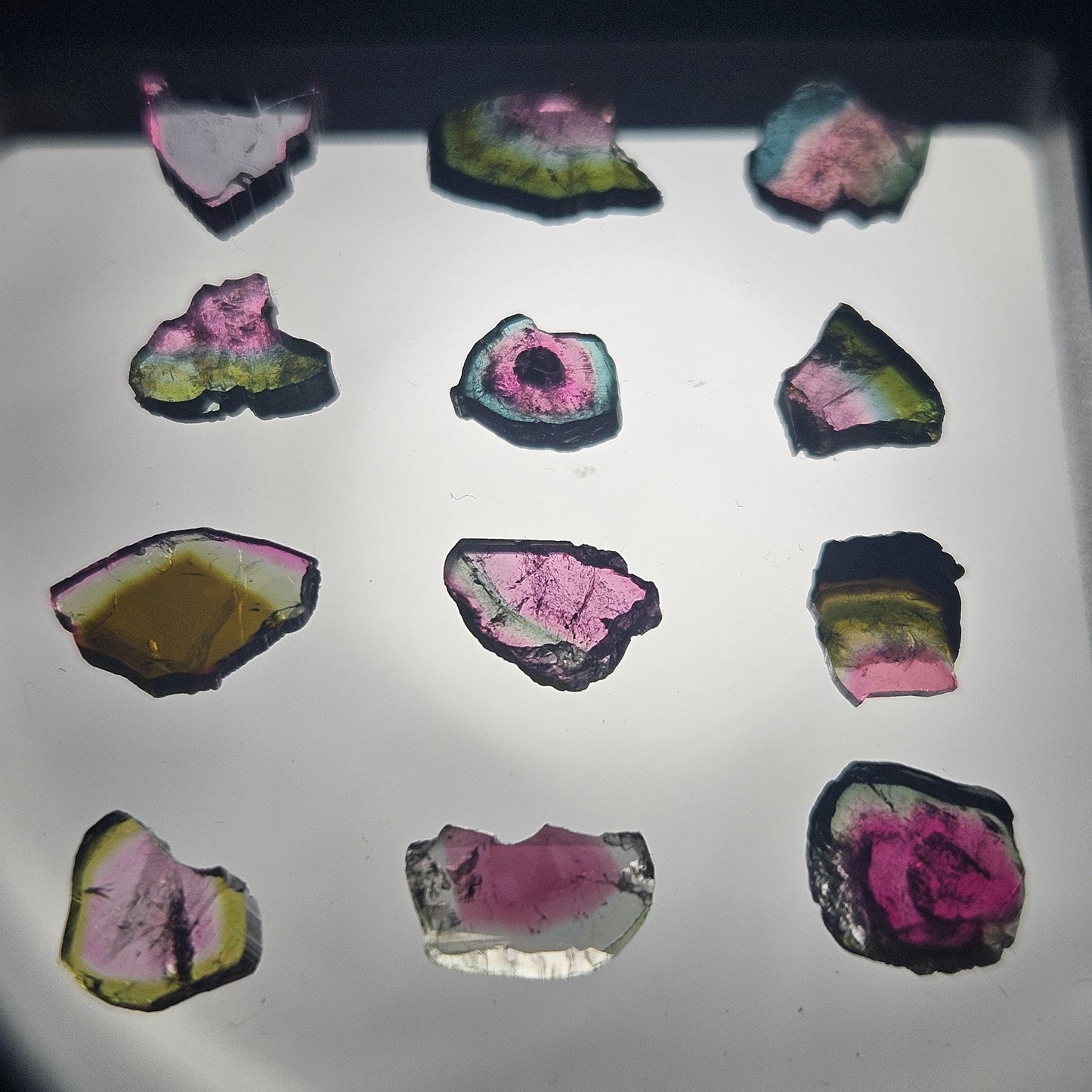 Watermelon Tourmaline Slice, CHOOSE YOUR SLICE!