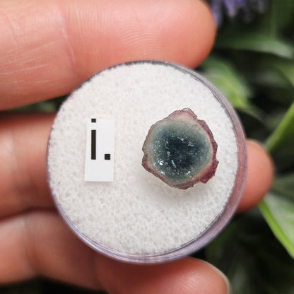Blue Watermelon Tourmaline Slice, CHOOSE YOUR SLICE!