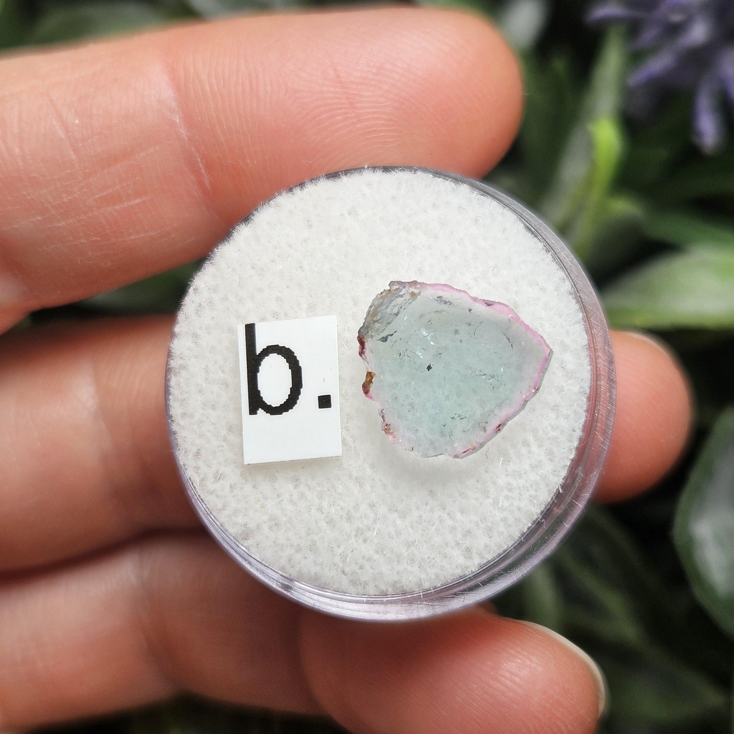 Blue Watermelon Tourmaline Slice, CHOOSE YOUR SLICE!