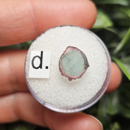 Blue Watermelon Tourmaline Slice, CHOOSE YOUR SLICE!