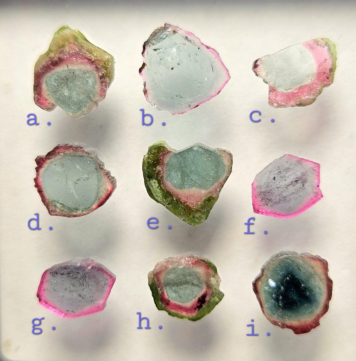 Blue Watermelon Tourmaline Slice, CHOOSE YOUR SLICE!