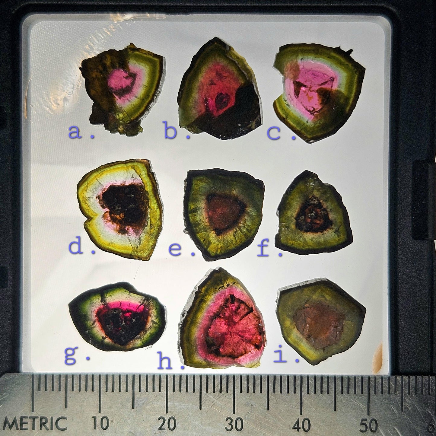 Watermelon Tourmaline Slice 10