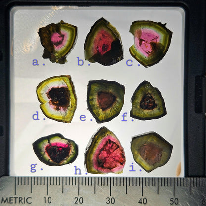 Watermelon Tourmaline Slice 10