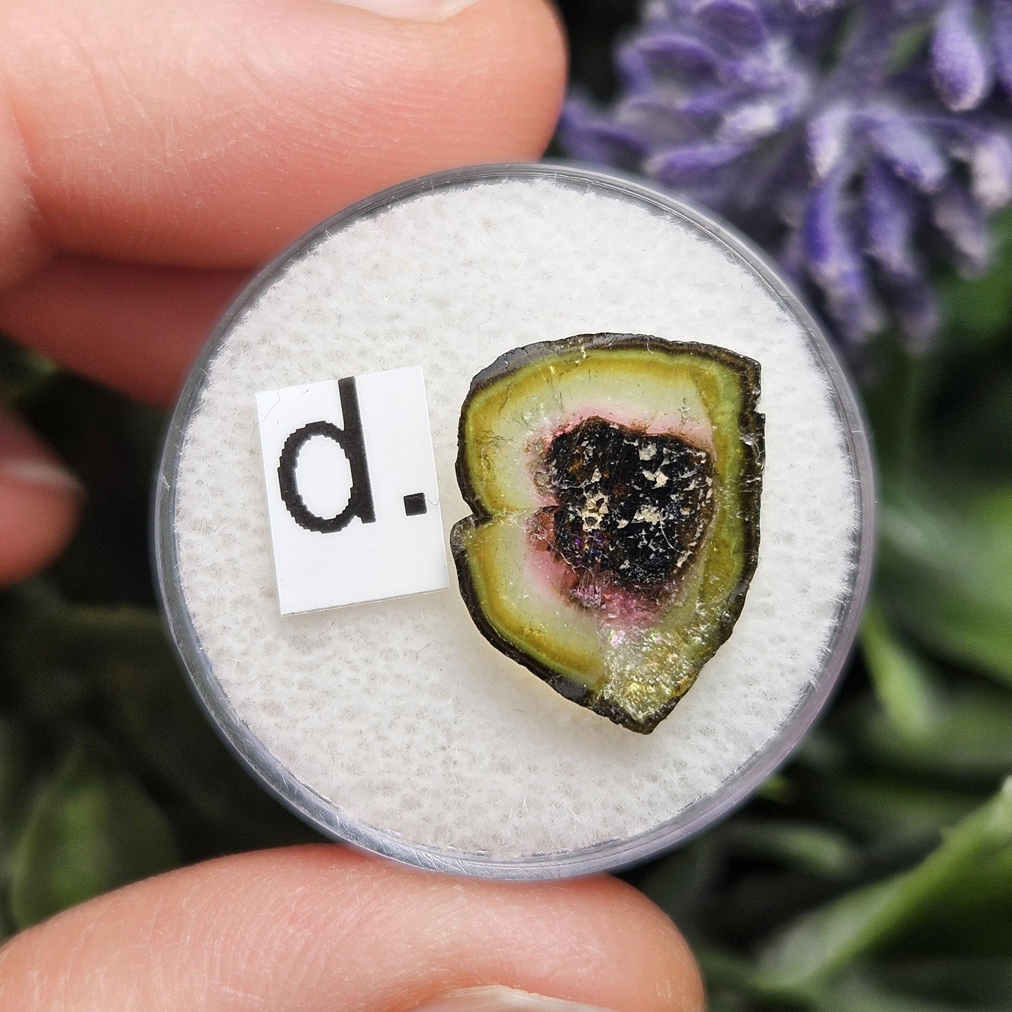 Watermelon Tourmaline Slice 10