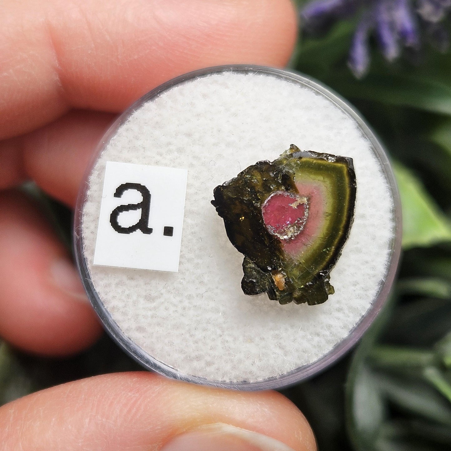 Watermelon Tourmaline Slice 10