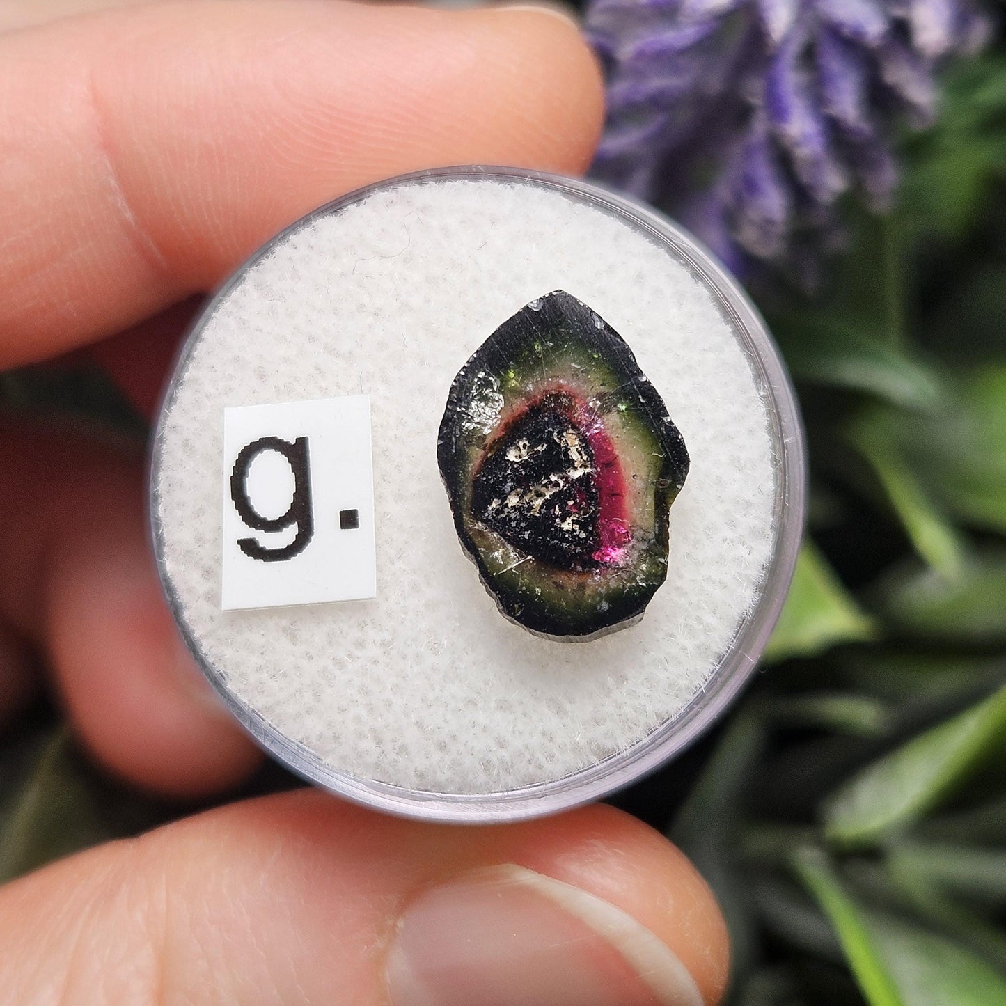 Watermelon Tourmaline Slice 10