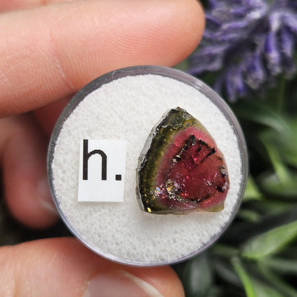 Watermelon Tourmaline Slice 10