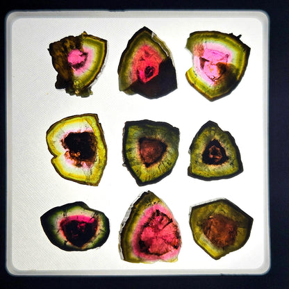 Watermelon Tourmaline Slice 10