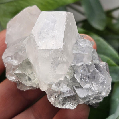 Clear Fluorite on Calcite Cluster, 83g Yindu Mine Inner Mongolia Specimen, UV Reactive