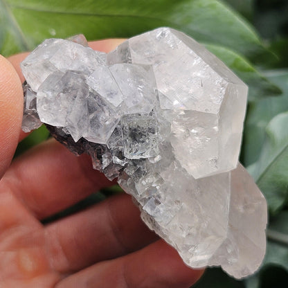 Clear Fluorite on Calcite Cluster, 83g Yindu Mine Inner Mongolia Specimen, UV Reactive