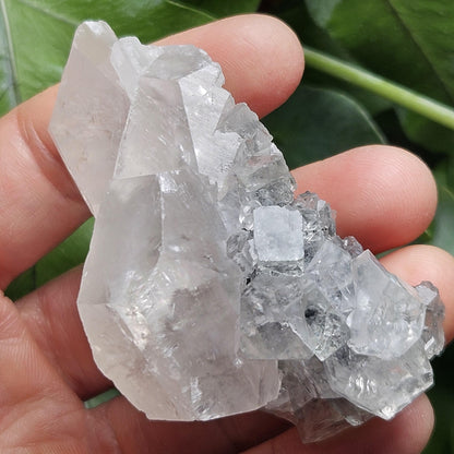 Clear Fluorite on Calcite Cluster, 83g Yindu Mine Inner Mongolia Specimen, UV Reactive