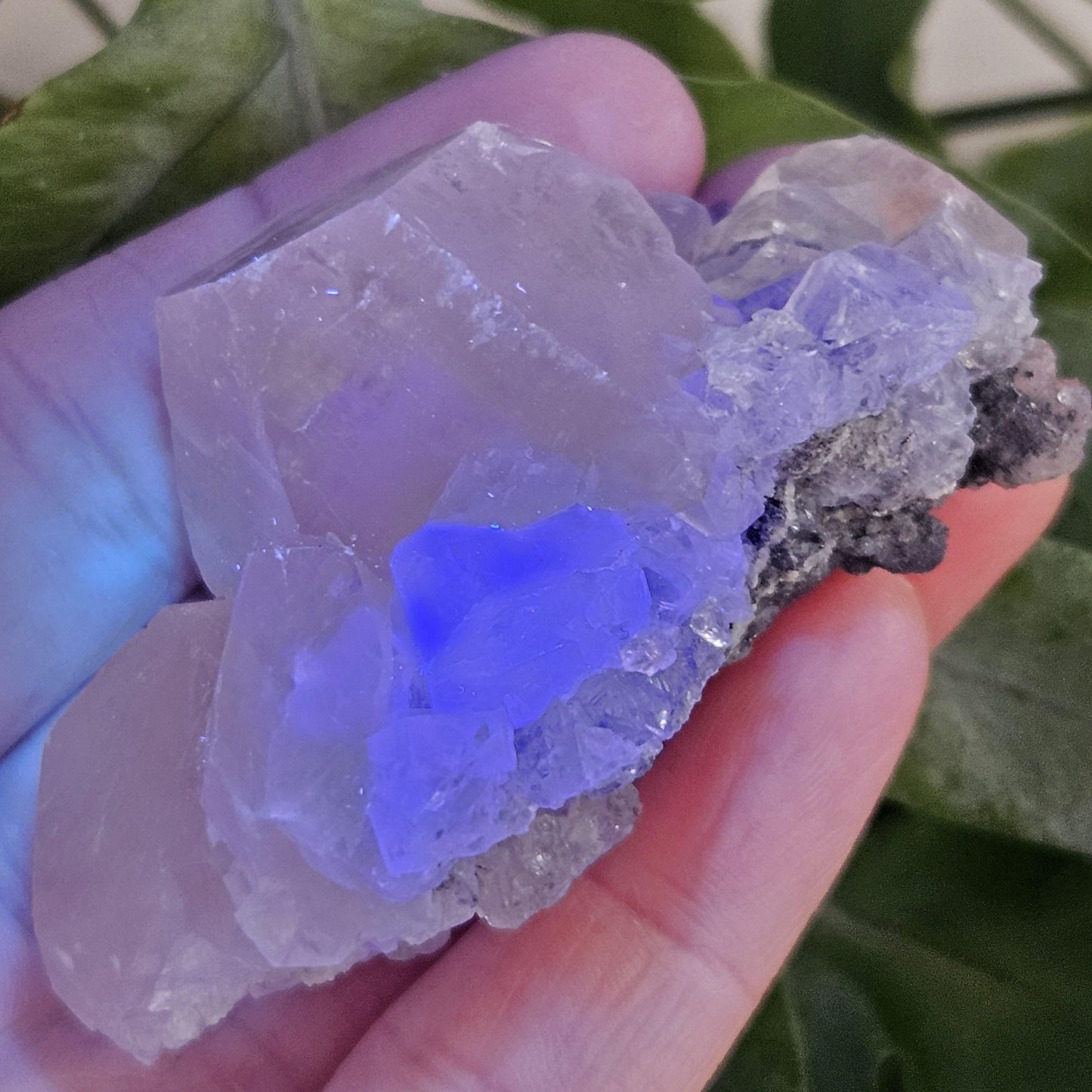 Clear Fluorite on Calcite Cluster, 83g Yindu Mine Inner Mongolia Specimen, UV Reactive