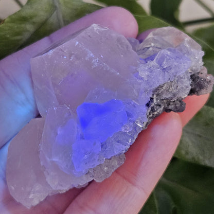 Clear Fluorite on Calcite Cluster, 83g Yindu Mine Inner Mongolia Specimen, UV Reactive