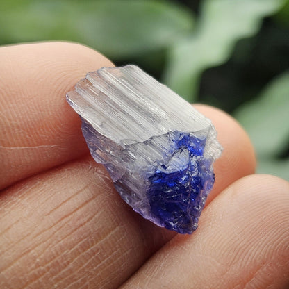 Terminated Bicolor Tanzanite Crystal 1.81g, Raw Tanzanian Specimen