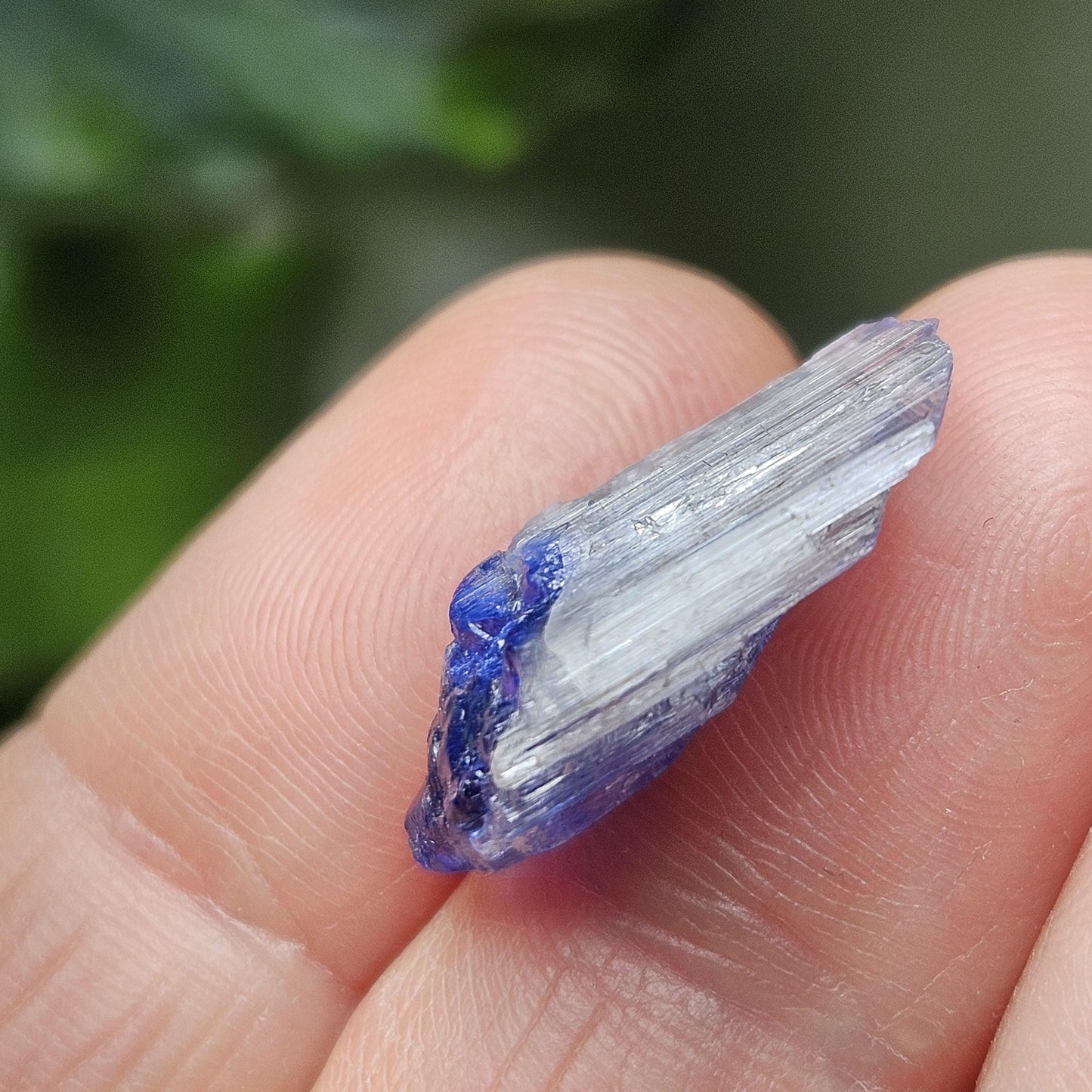 Terminated Bicolor Tanzanite Crystal 1.81g, Raw Tanzanian Specimen