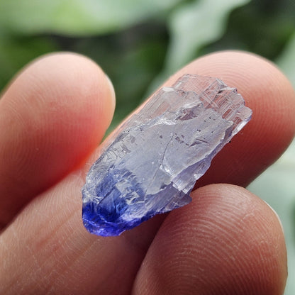 Terminated Bicolor Tanzanite Crystal 1.81g, Raw Tanzanian Specimen
