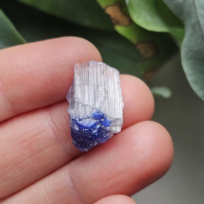 Terminated Bicolor Tanzanite Crystal 1.81g, Raw Tanzanian Specimen