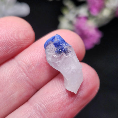 Terminated Fibrous Dumortierite Crystal, Dumortierite in Clear Quartz