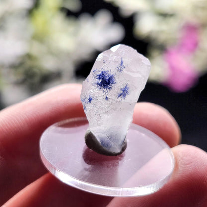 Terminated Fibrous Dumortierite Crystal, Dumortierite in Clear Quartz