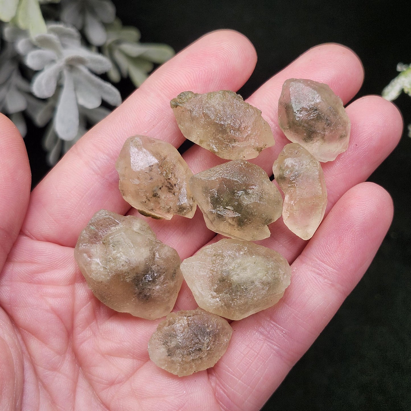 Smoky Hanksite Specimen: UV Reactive Salt Crystal from Searles Lake