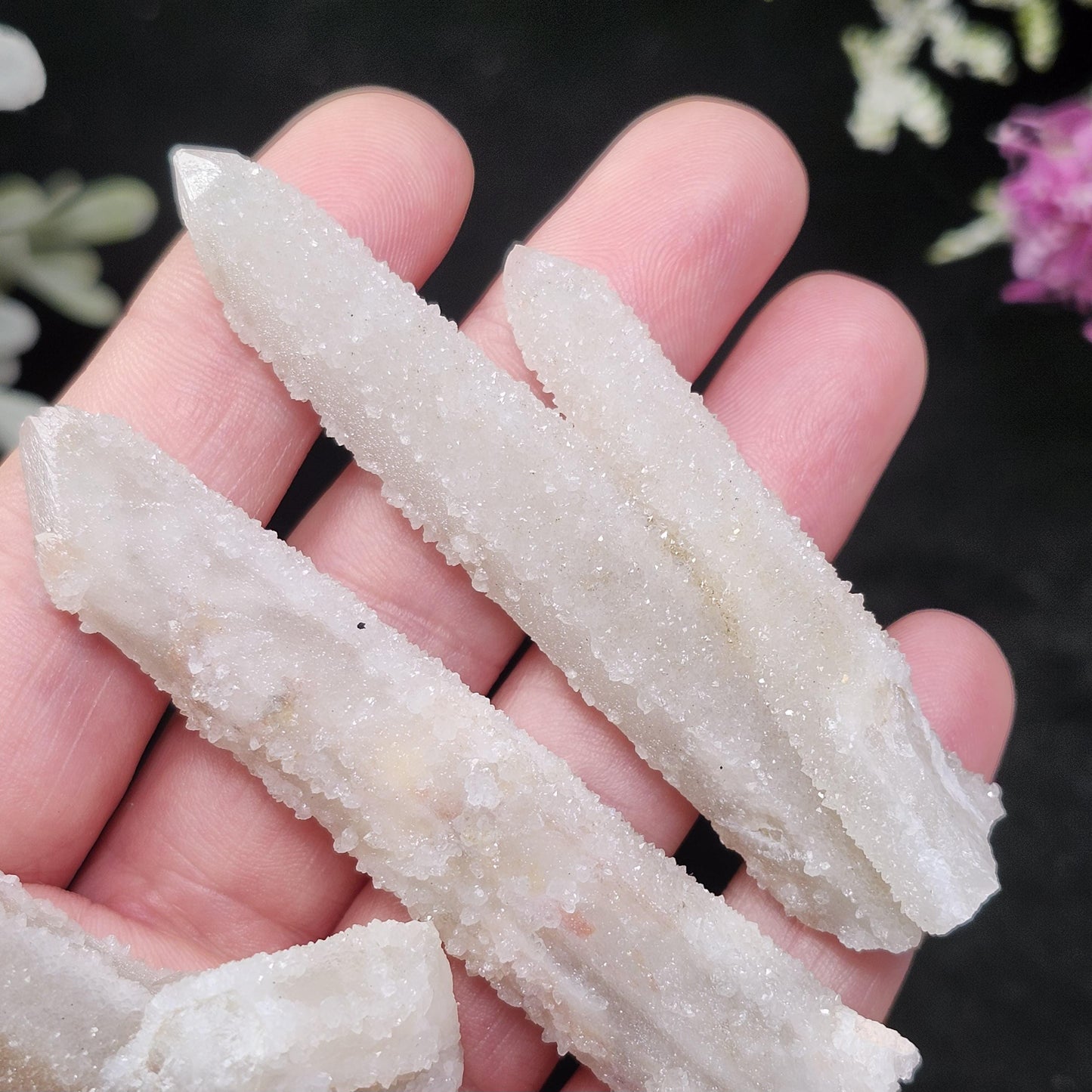 Angel Chiming Cactus Quartz, Cactus Quartz Specimen from South Africa