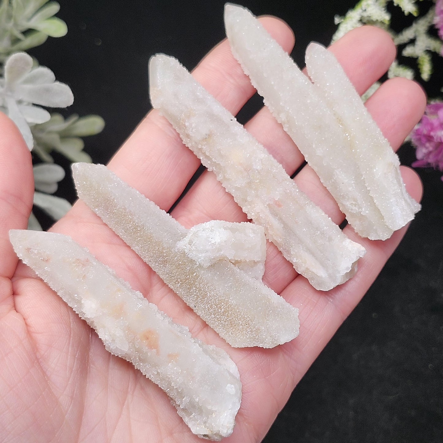 Angel Chiming Cactus Quartz, Cactus Quartz Specimen from South Africa
